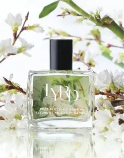 Fleurs de poirier et bambou LYRD