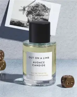 Audace candide Avon Moments