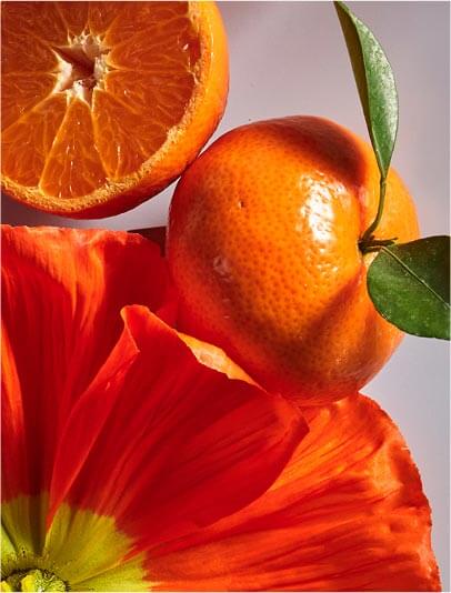 Agrumes frais
