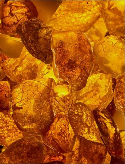 Ambre douce