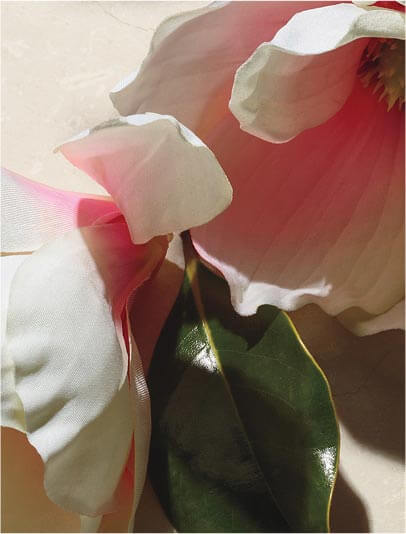 Florale douce